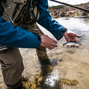 Tenkara fishing gear